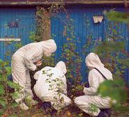 Vier Personen in weißen Schutzanzügen untersuchen Pflanzen in einem Gartenbereich. Sie stehen in der Nähe einer blauen Holzwand, umgeben von grünem Laub, und scheinen sich auf etwas in der Vegetation zu konzentrieren.
